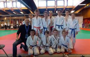 poussins, benjamins et minimes combattaient ce week end
