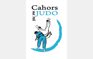 JUDO SUSPENDU COVID -19