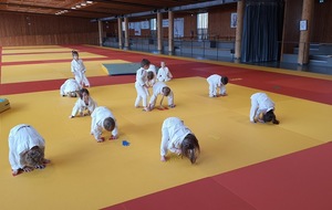 les baby judo s'entrainent ...