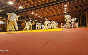 50 judokas à l'entrainement vacances !
