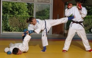 5d7637f0297f7_jujitsu300x199.jpg