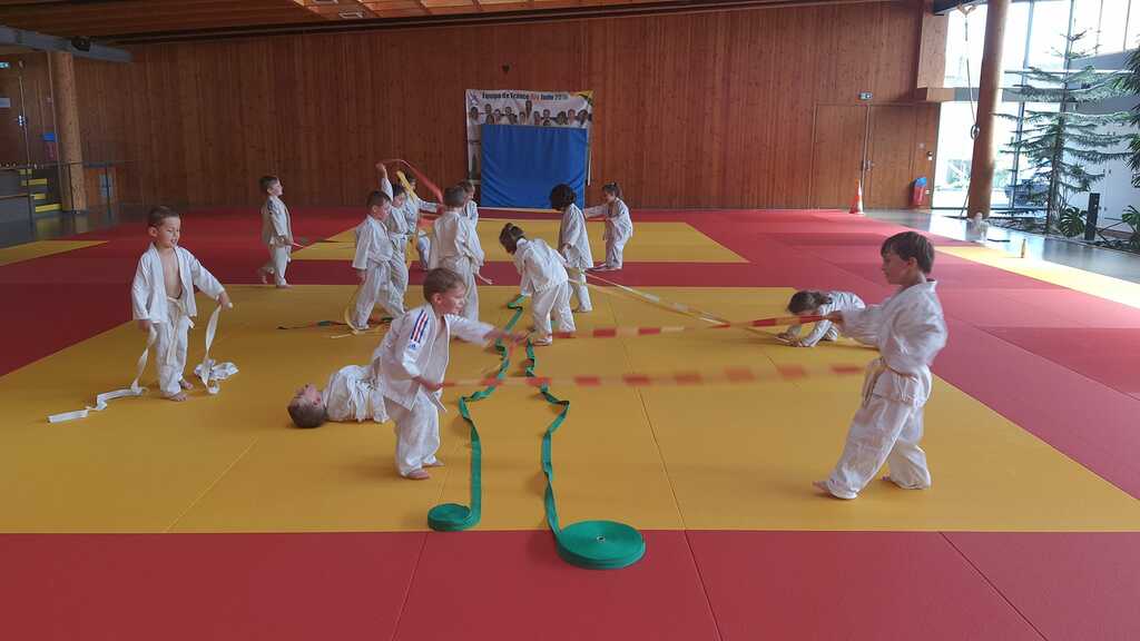 cours spécial parents /enfants baby judo (2018 2017 2016)