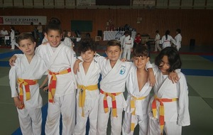 Tournoi de Villefranche Poussins-benjamins (2013 2012 20011 2020)