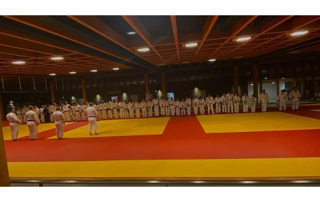 50 judokas sur le tatamis ce mercredi !